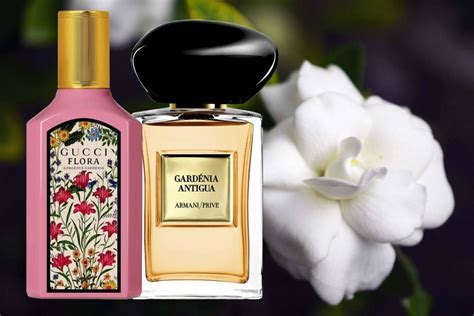 np - /best-gardenia-perfumes/|best gardenia scent.